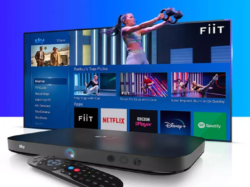 1 Sky Q