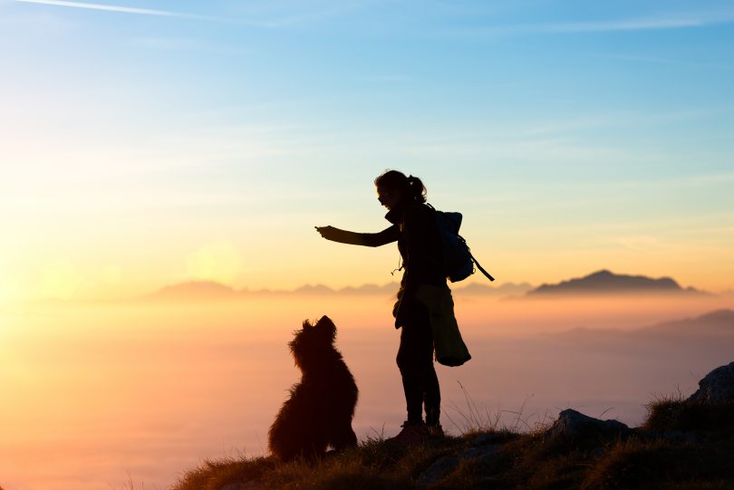 Girl plays with his dog in the mountain