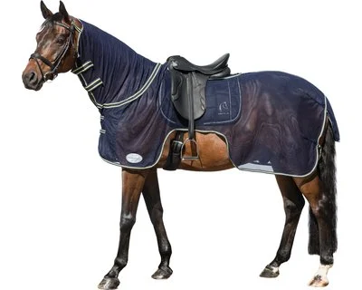 54928 horse friends fliegen ausreitdecke navy