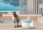 Petlibro Water Fountains