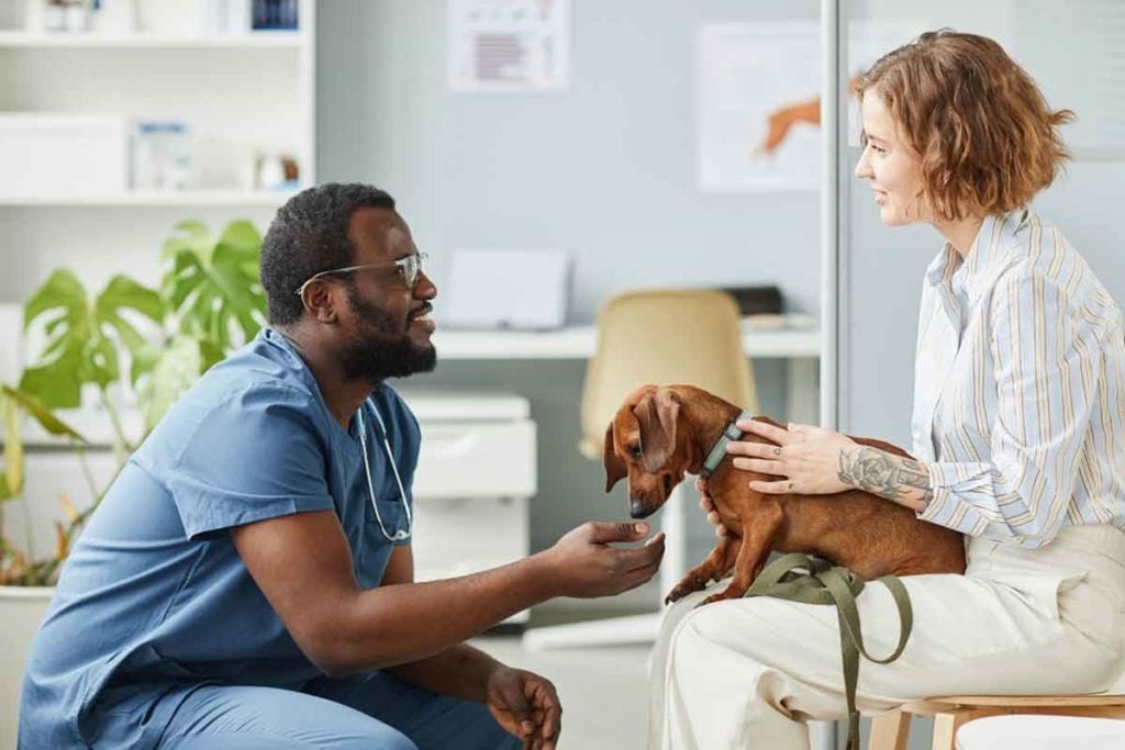 Ev blog pet insurance 1024x683