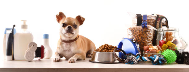 Istockphoto 1341957270 612x612 1