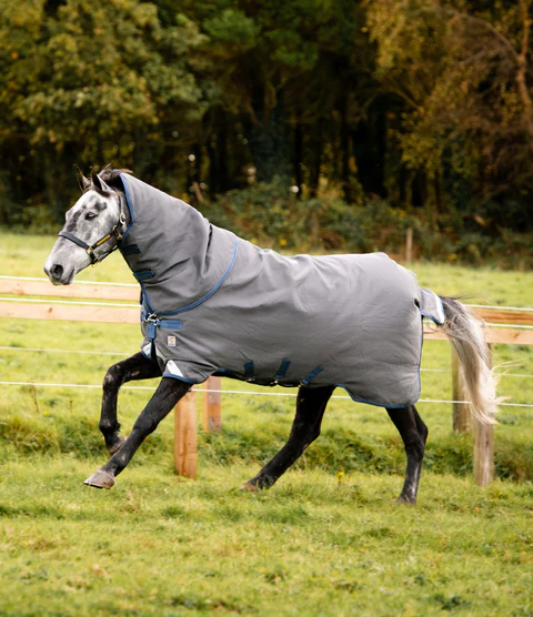 Med Rugs Banner